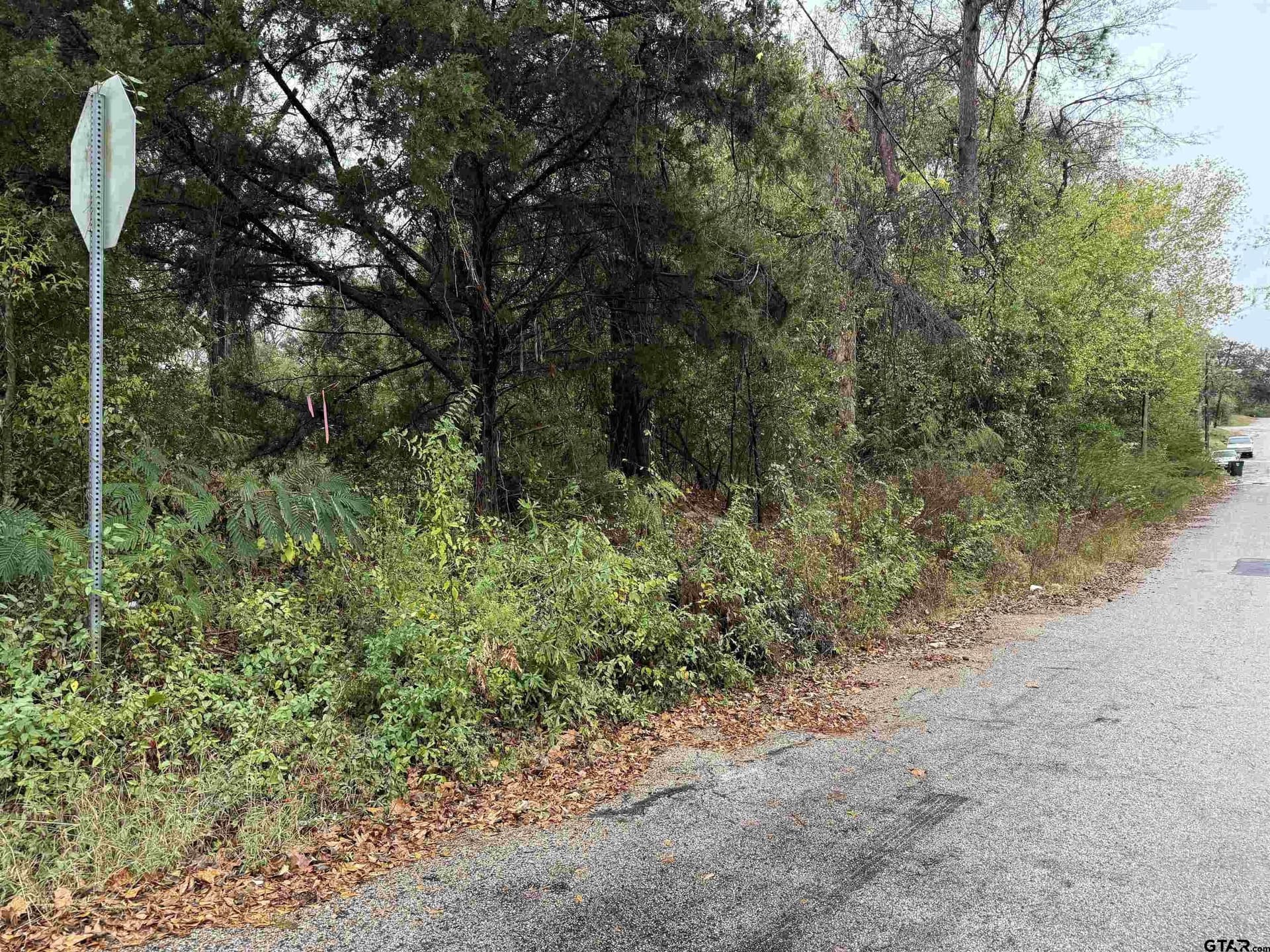 0.26 acres in Smith County - photo 6