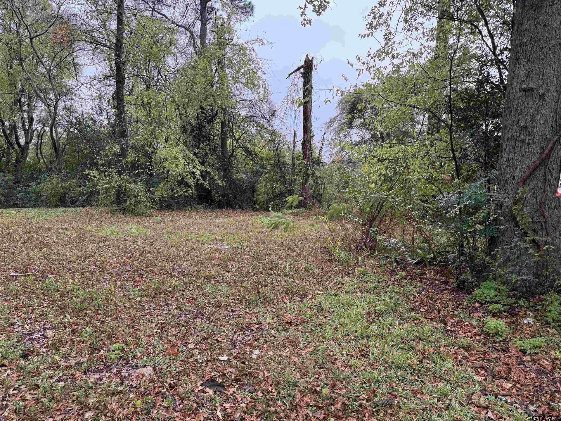 0.26 acres in Smith County - photo 2