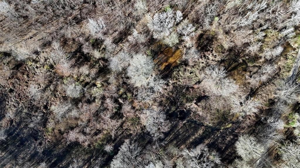 11.22 acres in Henderson County - photo 9