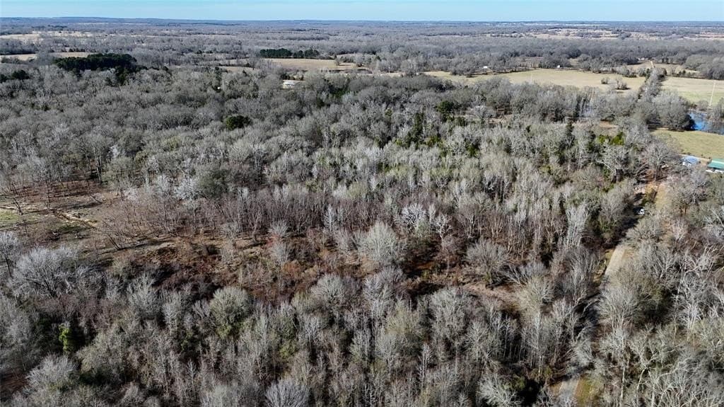 11.22 acres in Henderson County - photo 8