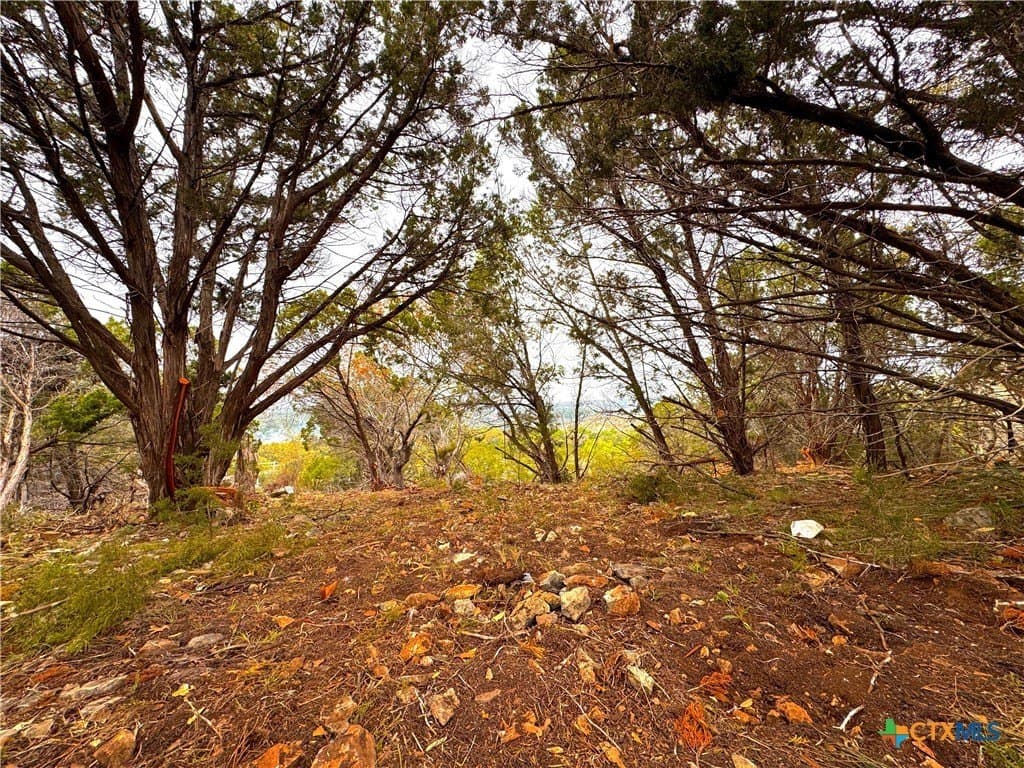 1.94 acres in Comal County - photo 6
