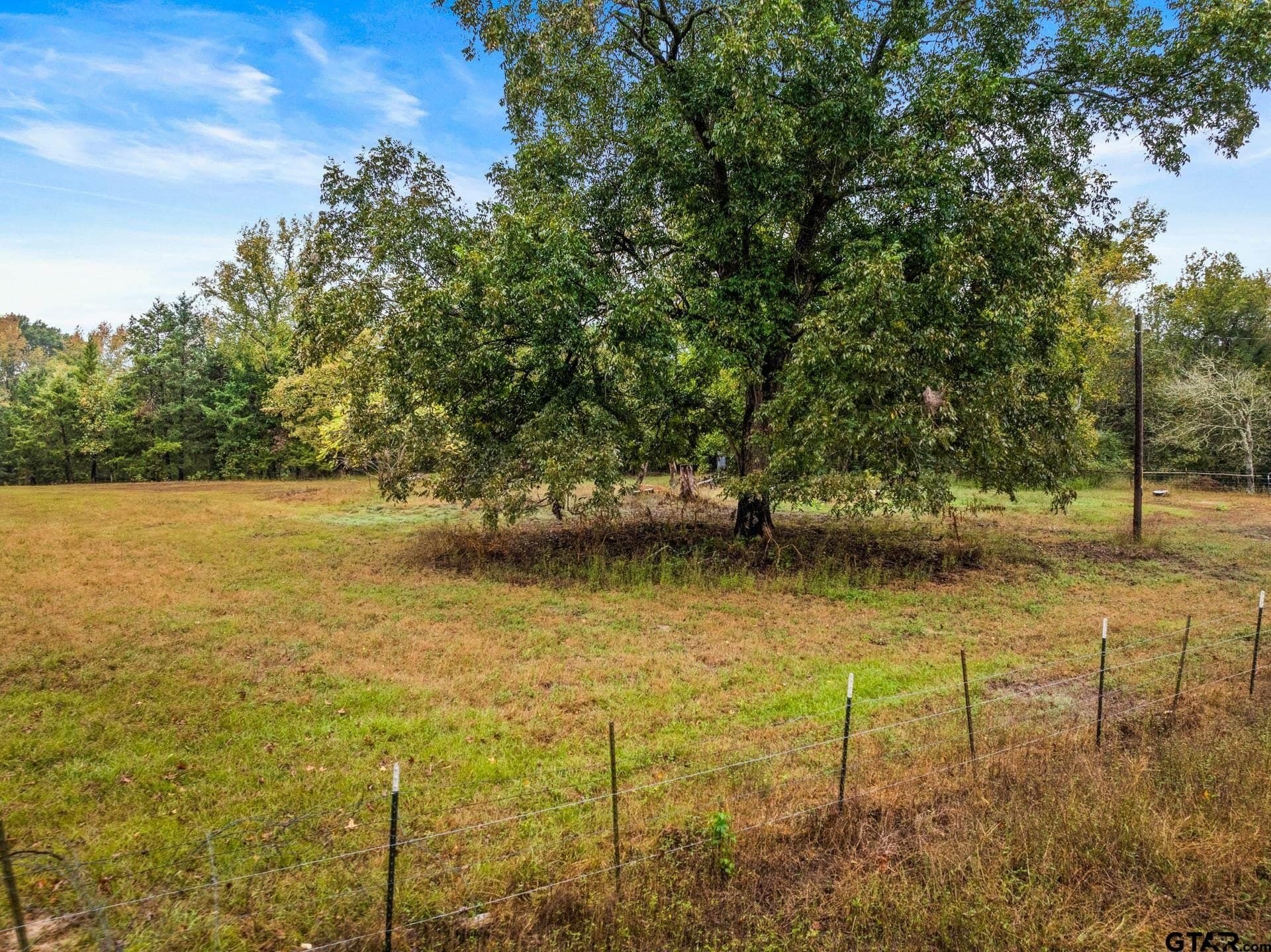10 acres in Morris County - photo 36