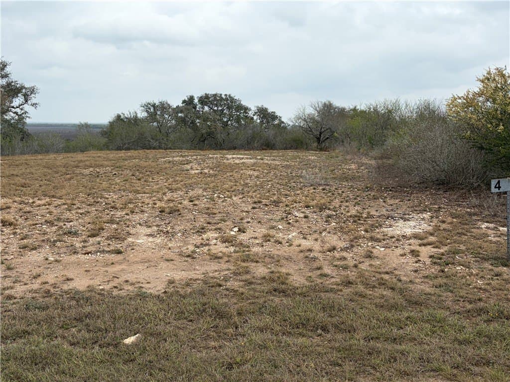 1.6 acres in Live Oak County - photo 4