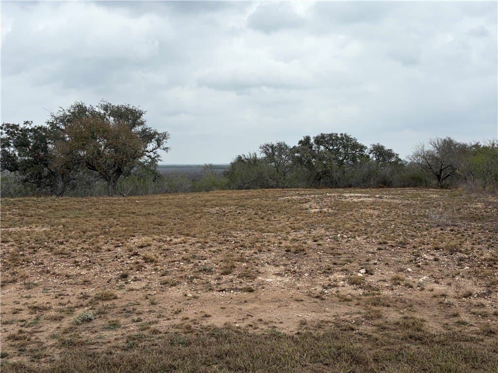 1.6 acres in Live Oak County - photo 5