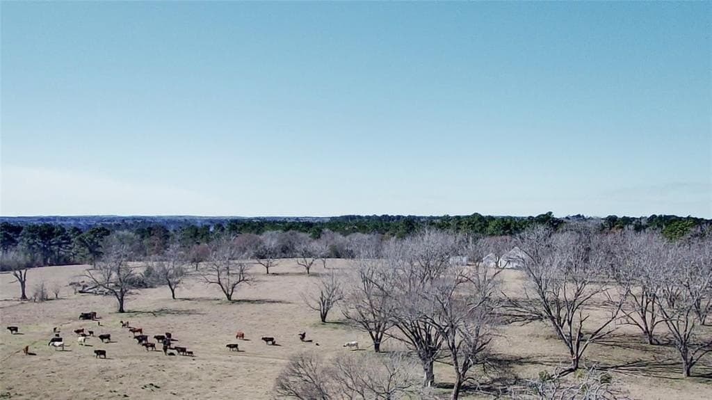 73.9 acres in Anderson County - photo 37