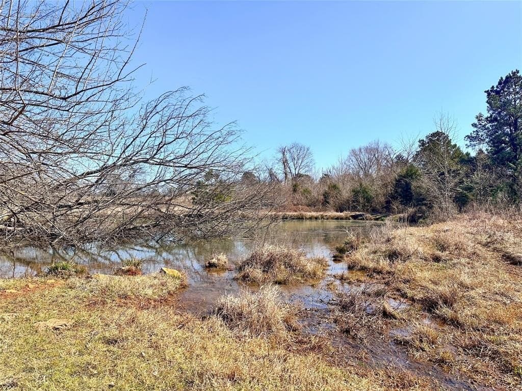 73.9 acres in Anderson County - photo 11