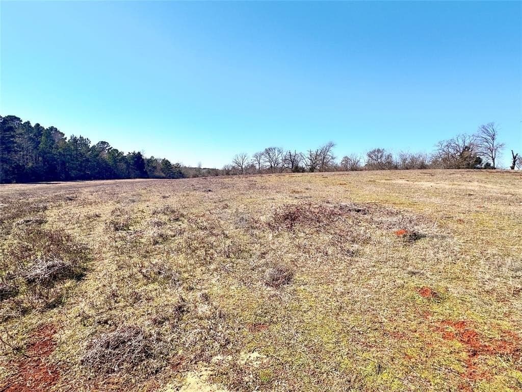 73.9 acres in Anderson County - photo 10