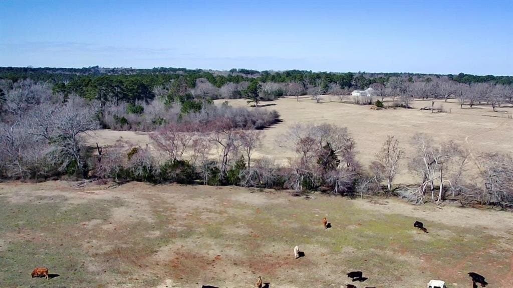 73.9 acres in Anderson County - photo 26