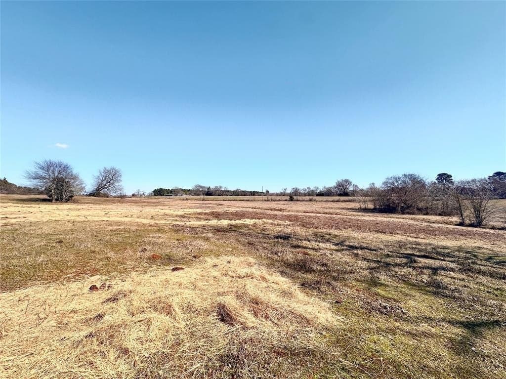 73.9 acres in Anderson County - photo 5