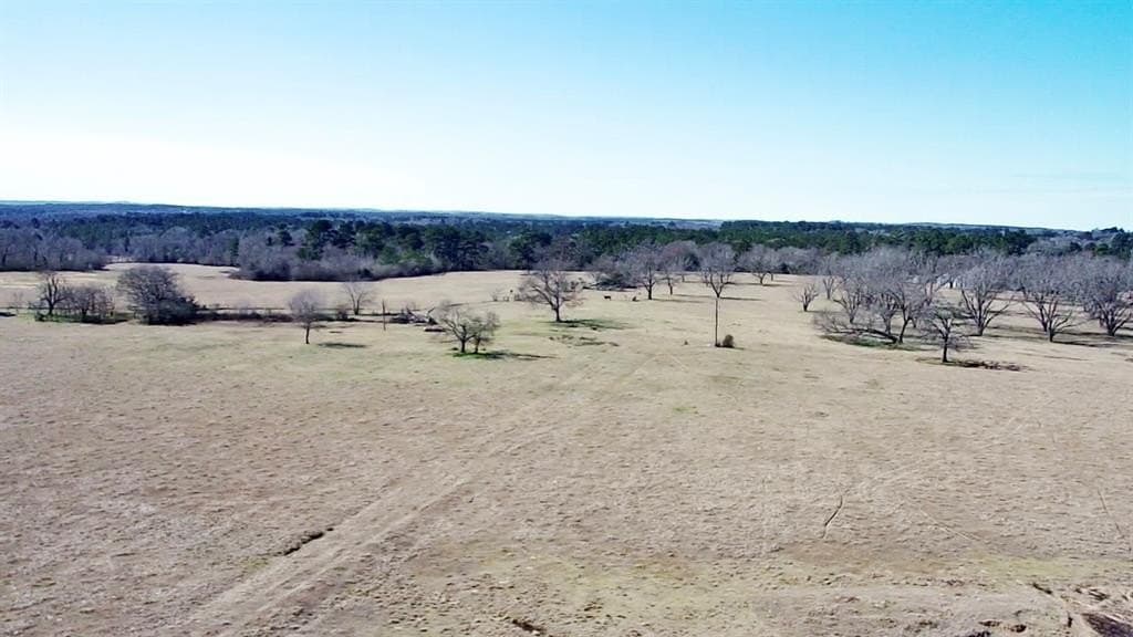 73.9 acres in Anderson County - photo 35