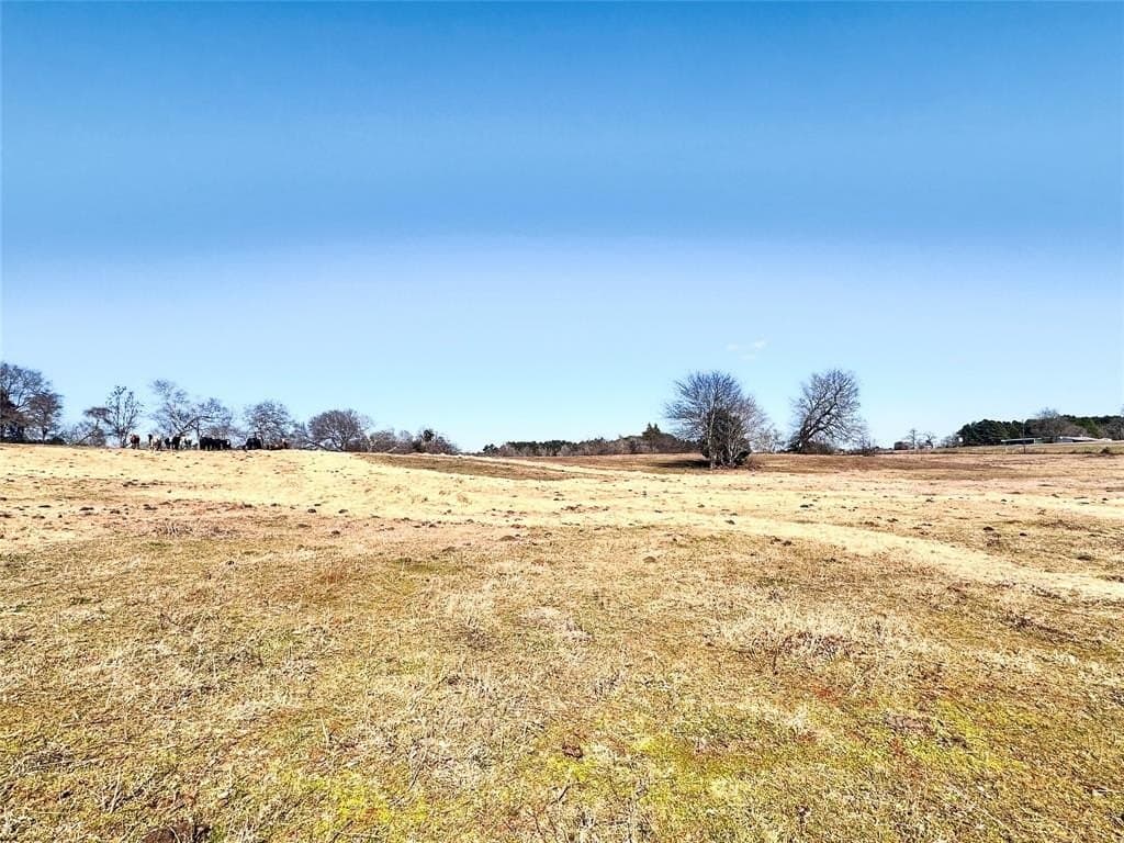 73.9 acres in Anderson County - photo 7