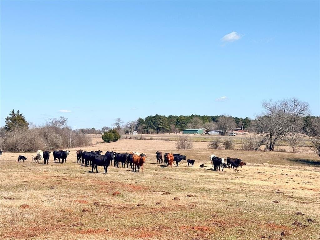 73.9 acres in Anderson County - photo 20
