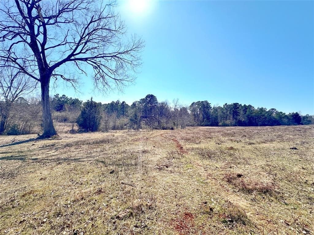73.9 acres in Anderson County - photo 6