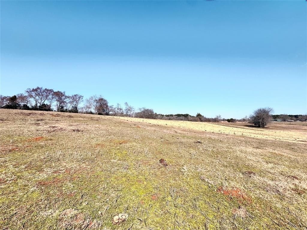 73.9 acres in Anderson County - photo 15
