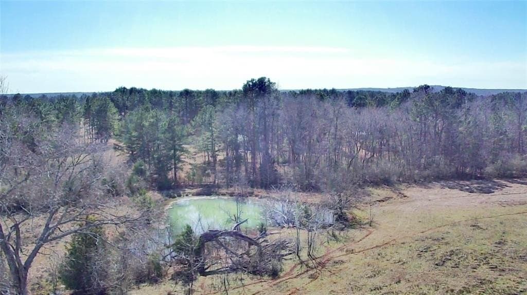 73.9 acres in Anderson County - photo 32