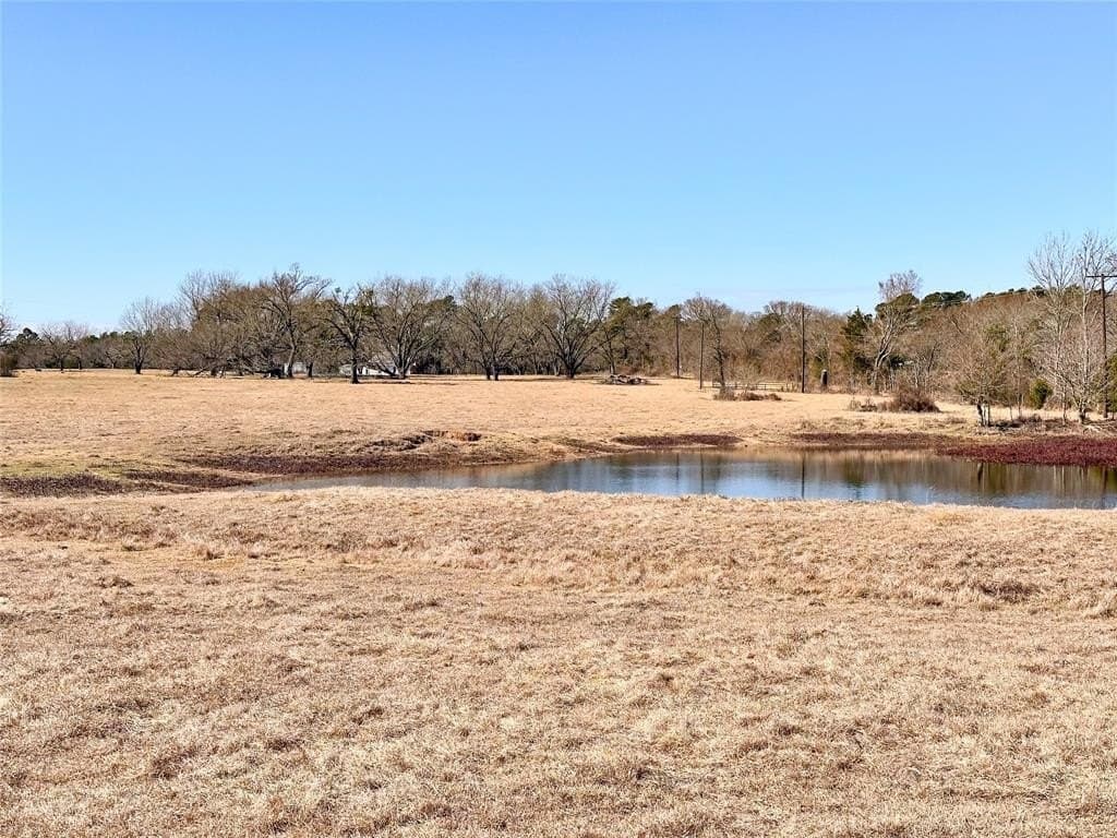 73.9 acres in Anderson County - photo 4