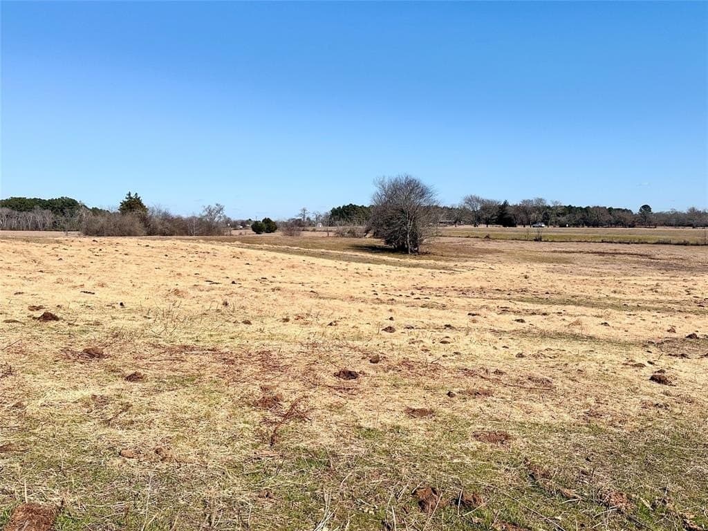 73.9 acres in Anderson County - photo 16