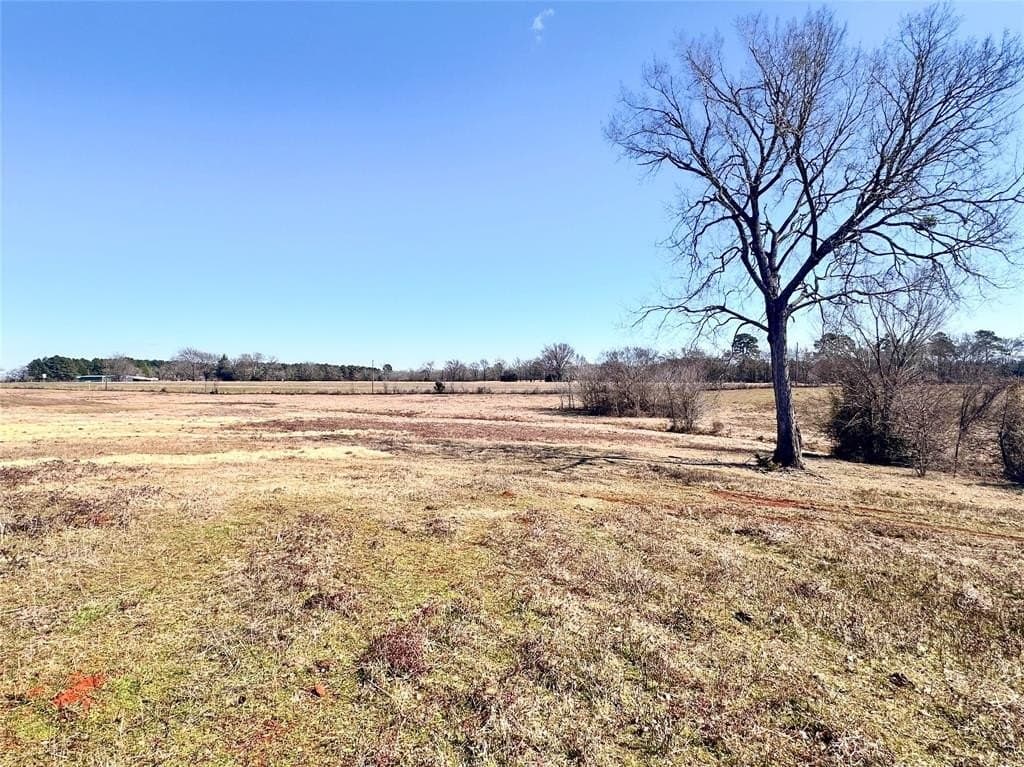 73.9 acres in Anderson County - photo 8