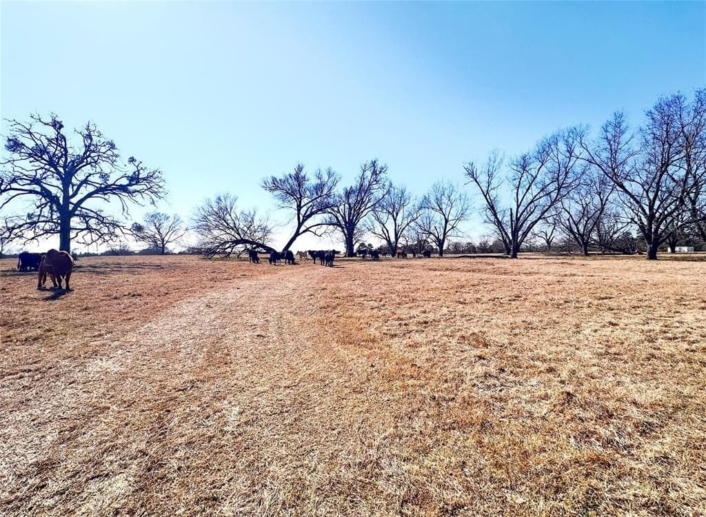 73.9 acres in Anderson County - photo 39