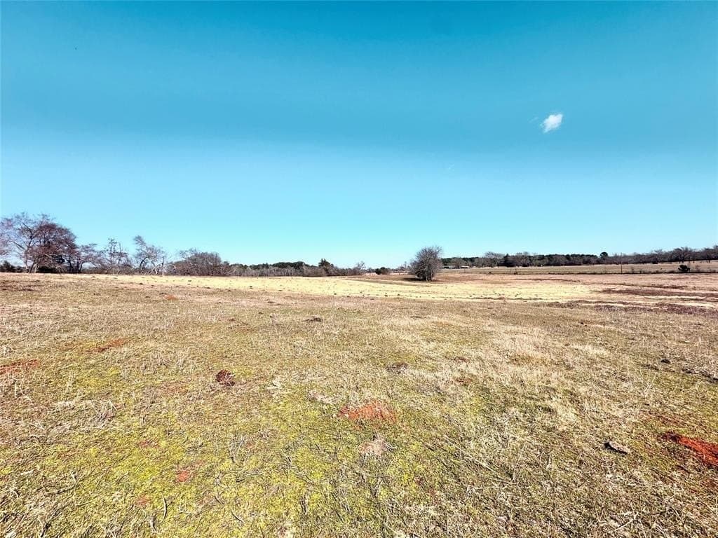 73.9 acres in Anderson County - photo 13