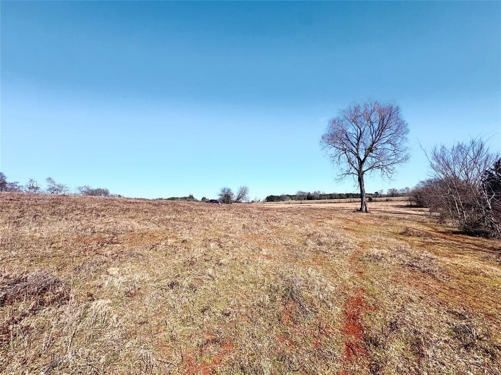 73.9 acres in Anderson County - photo 12