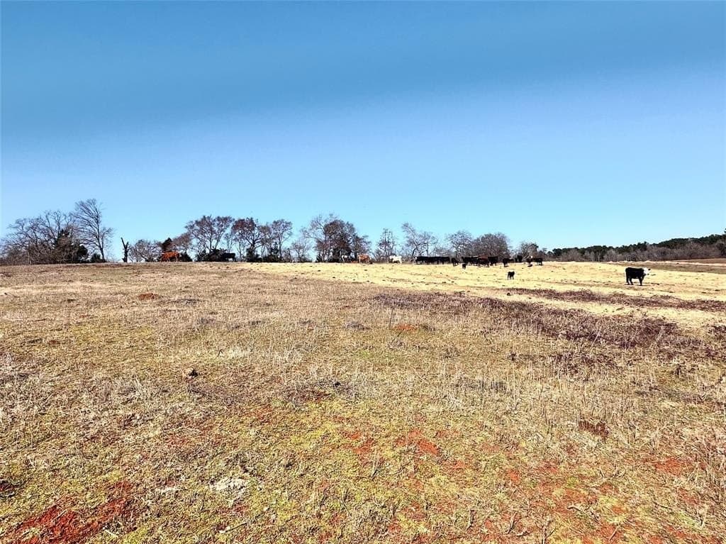 73.9 acres in Anderson County - photo 9