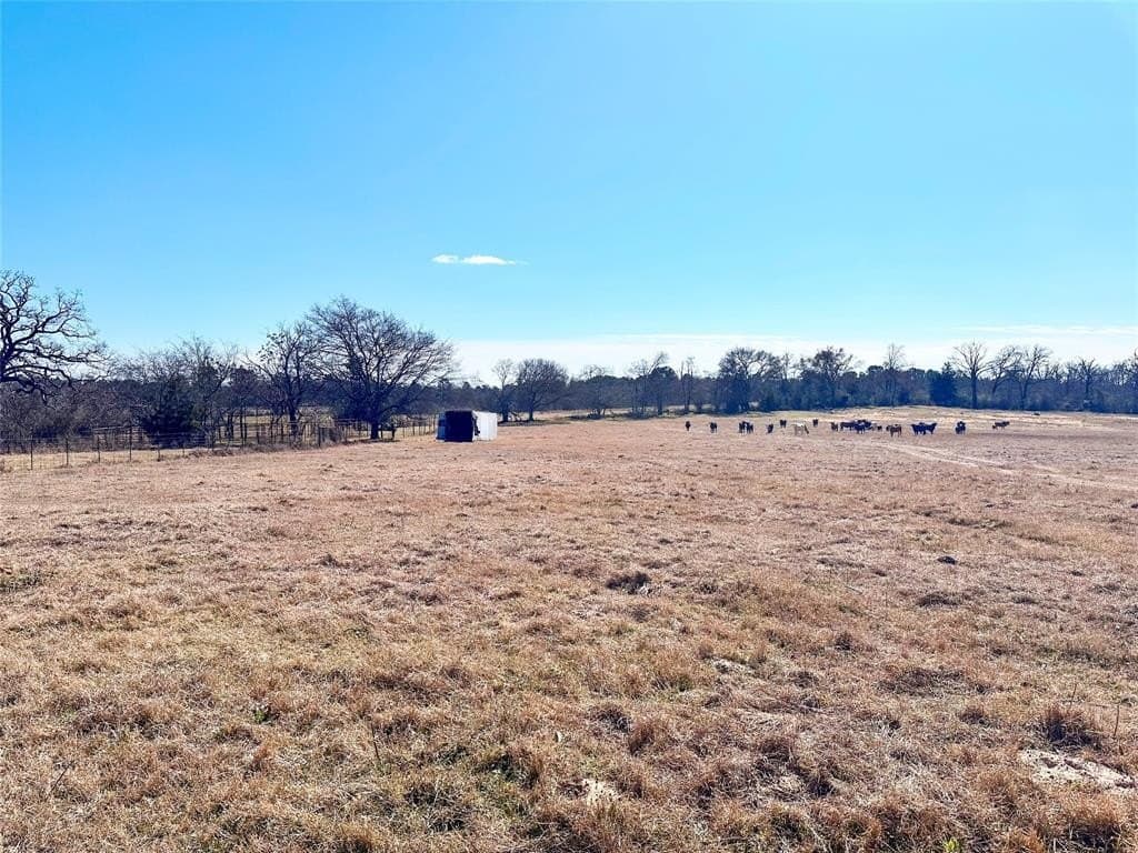 73.9 acres in Anderson County - photo 17