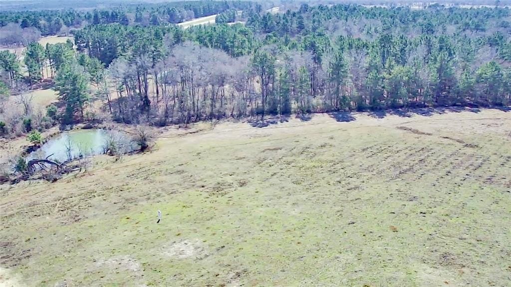 73.9 acres in Anderson County - photo 23