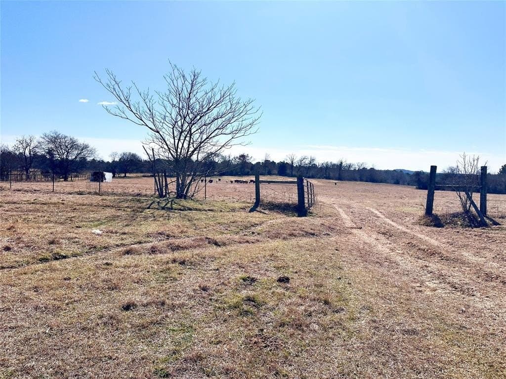 73.9 acres in Anderson County - photo 19