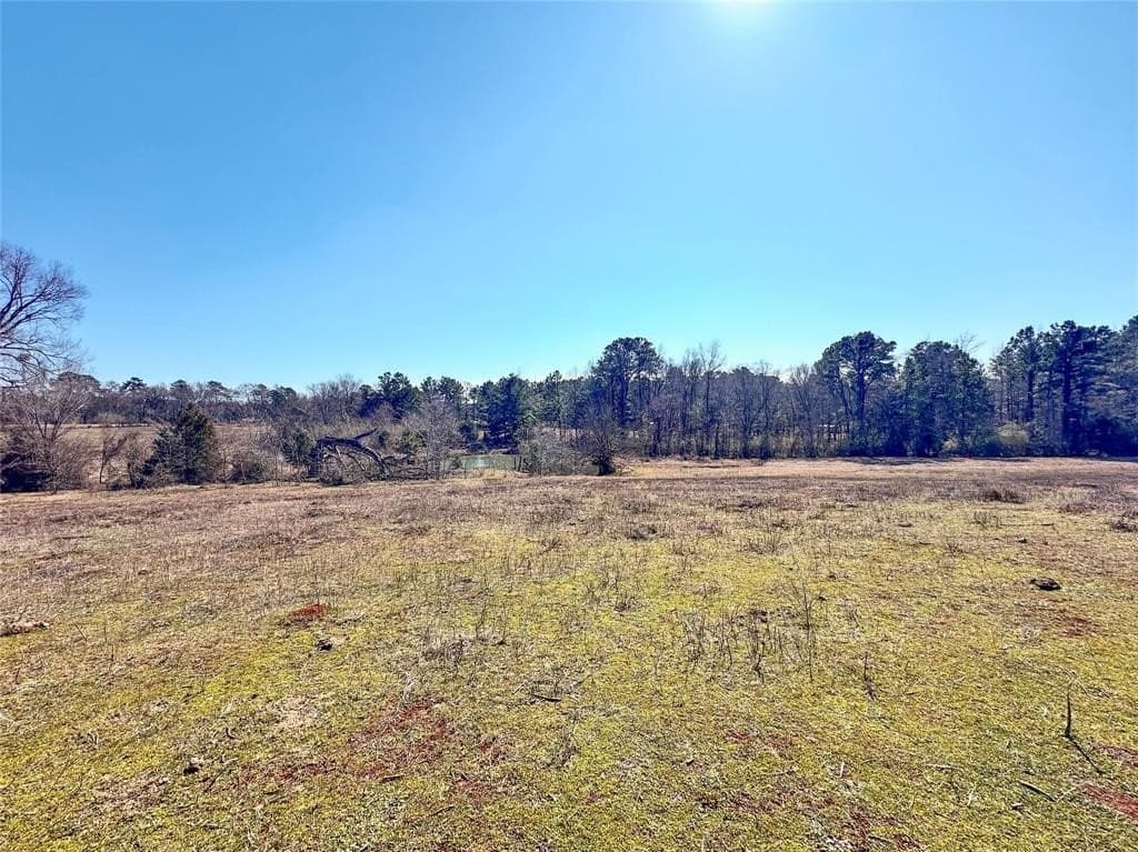73.9 acres in Anderson County - photo 14