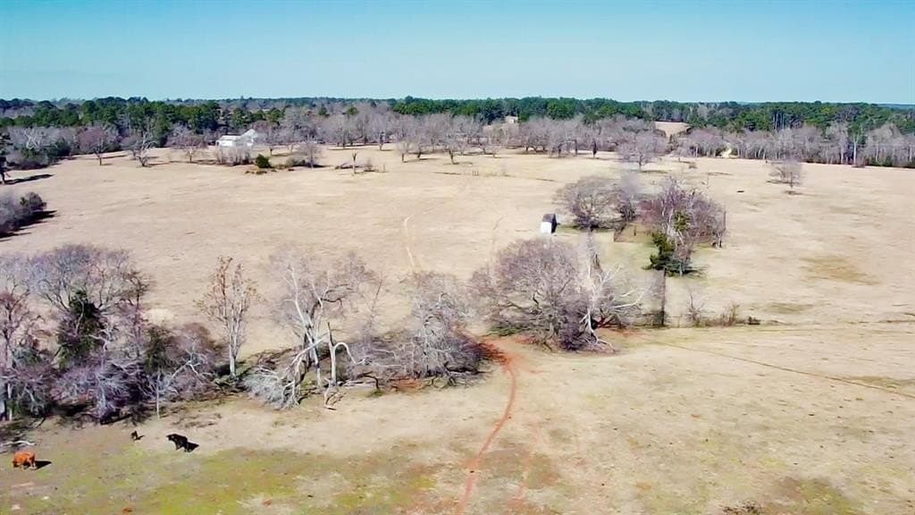 73.9 acres in Anderson County - photo 25