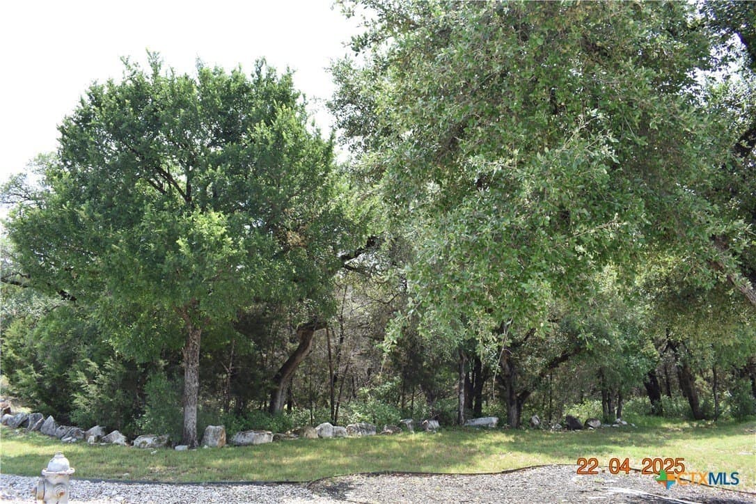 1.15 acres in Comal County - photo 11