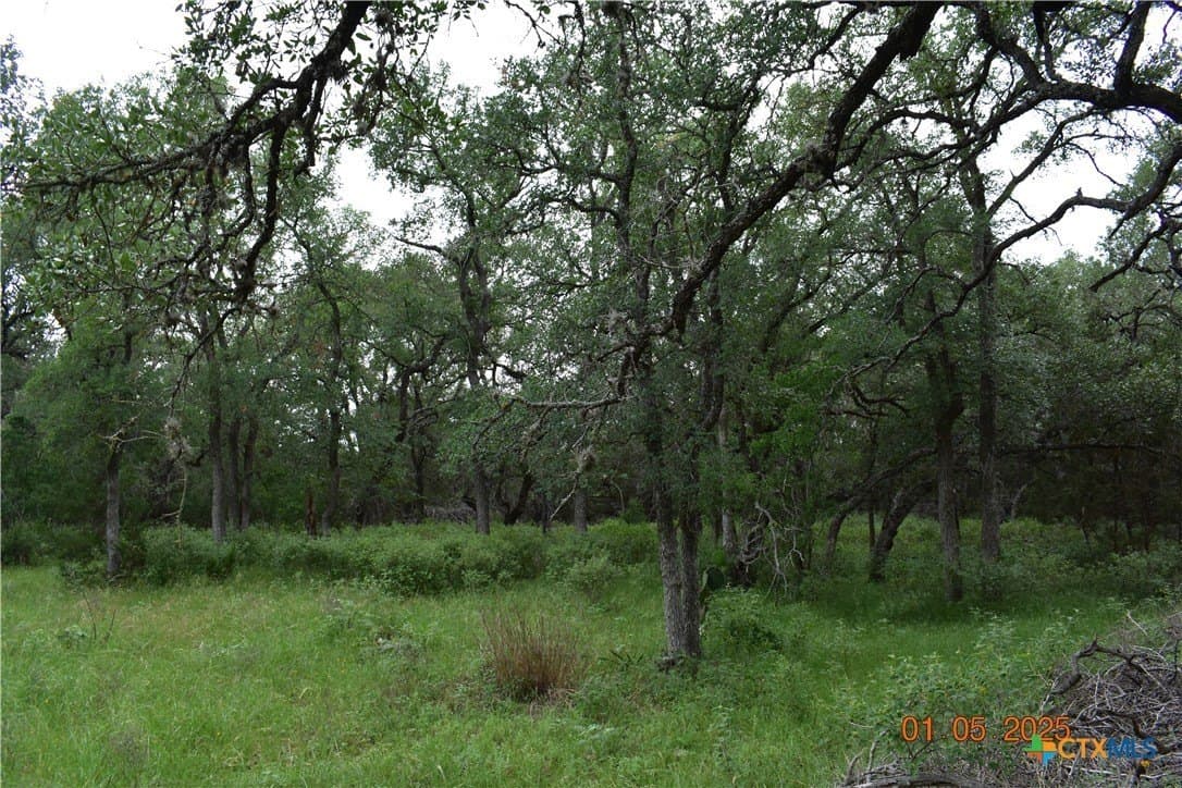 1.15 acres in Comal County - photo 3