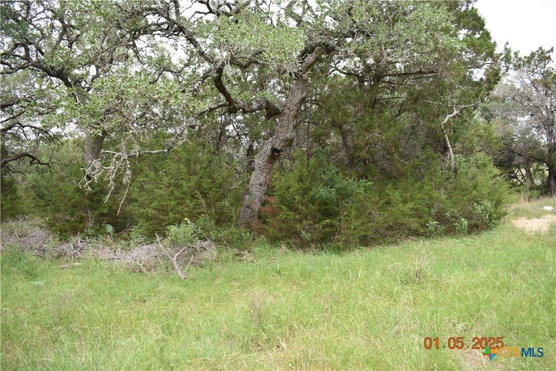 1.15 acres in Comal County - photo 13