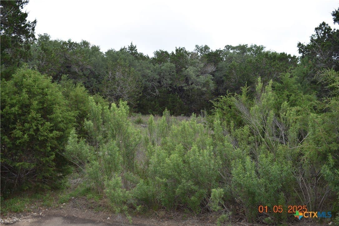 1.15 acres in Comal County - photo 22