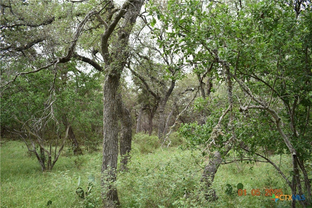 1.15 acres in Comal County - photo 6