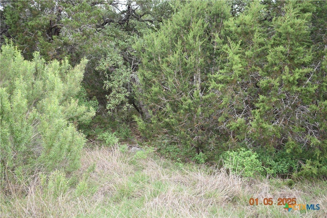 1.15 acres in Comal County - photo 23