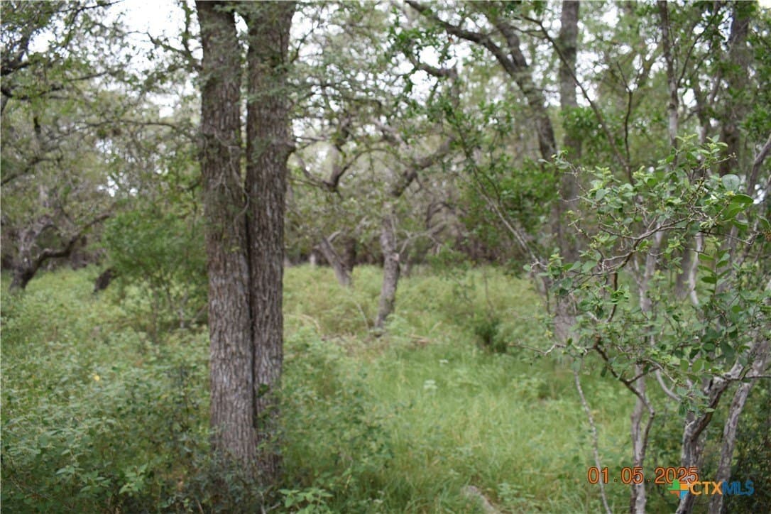 1.15 acres in Comal County - photo 9