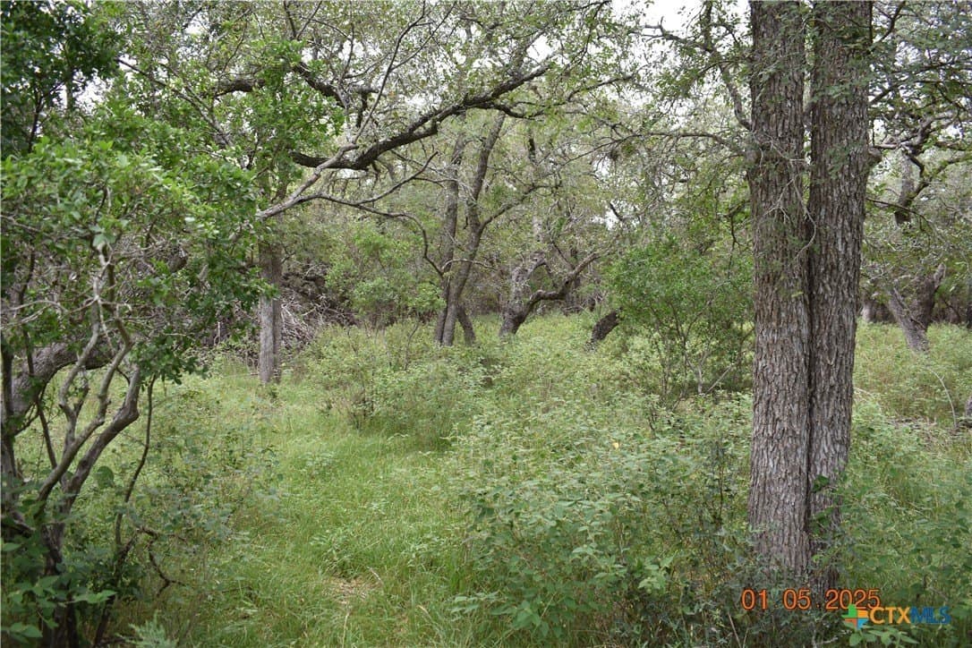 1.15 acres in Comal County - photo 10