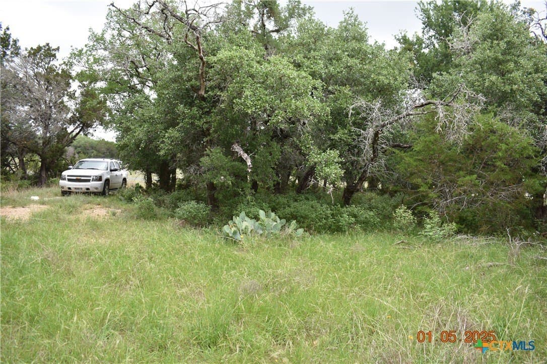 1.15 acres in Comal County - photo 12