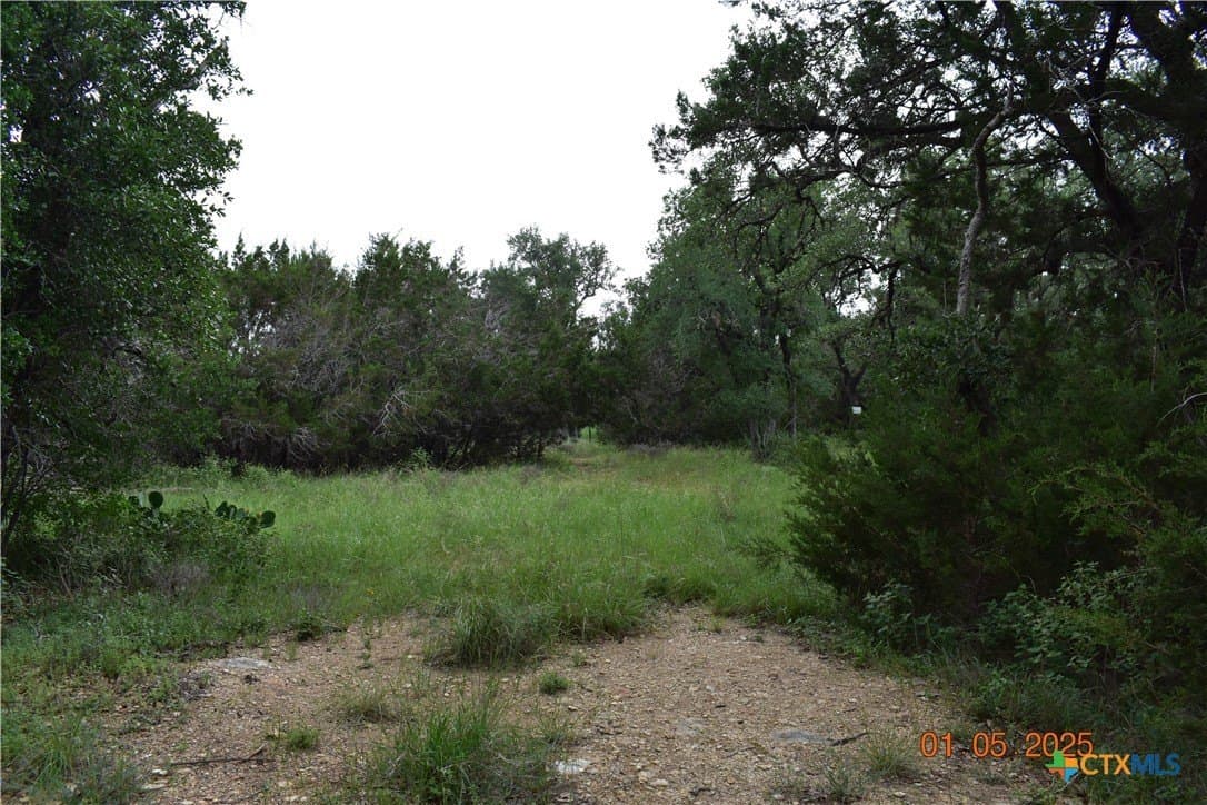 2315 Haven Bluff Court lot: 595