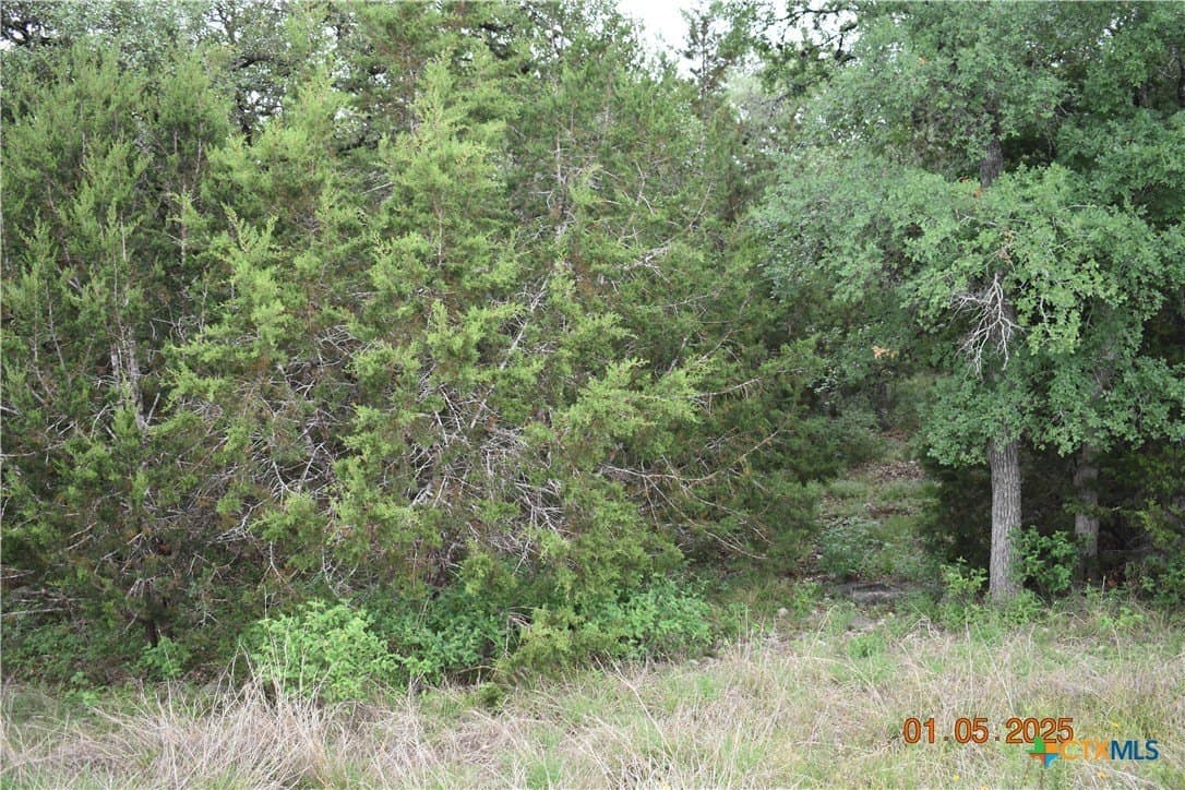 1.15 acres in Comal County - photo 24