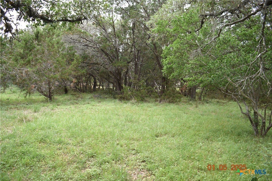 1.15 acres in Comal County - photo 7