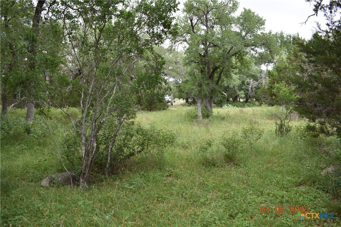 1.15 acres in Comal County - photo 8