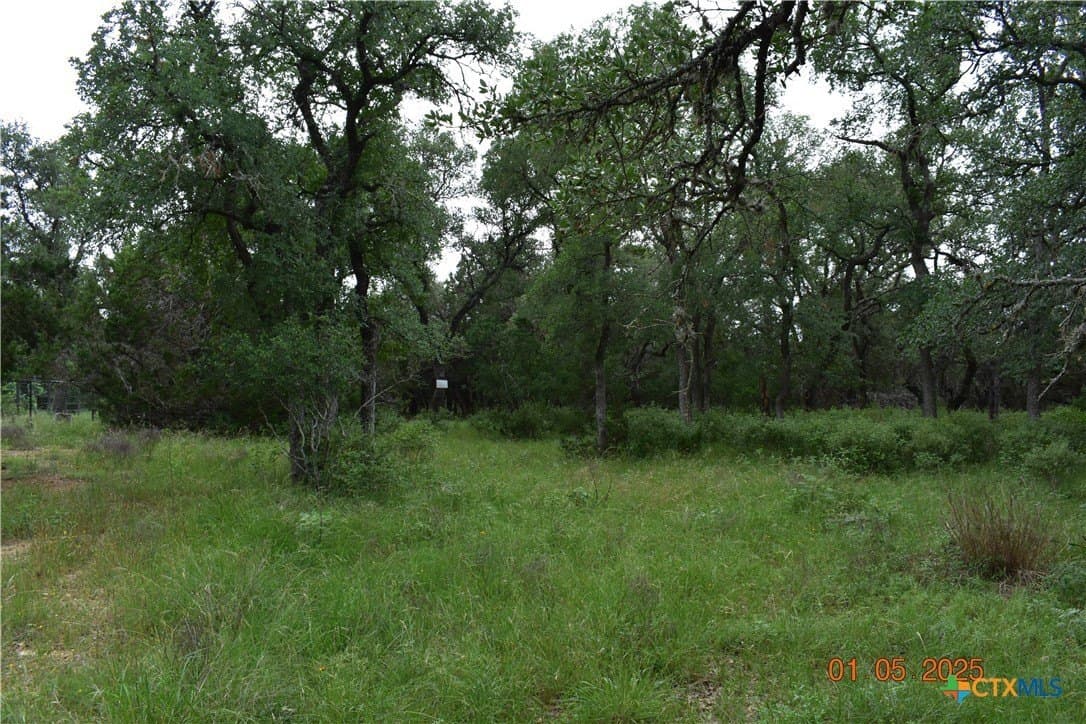 1.15 acres in Comal County - photo 4