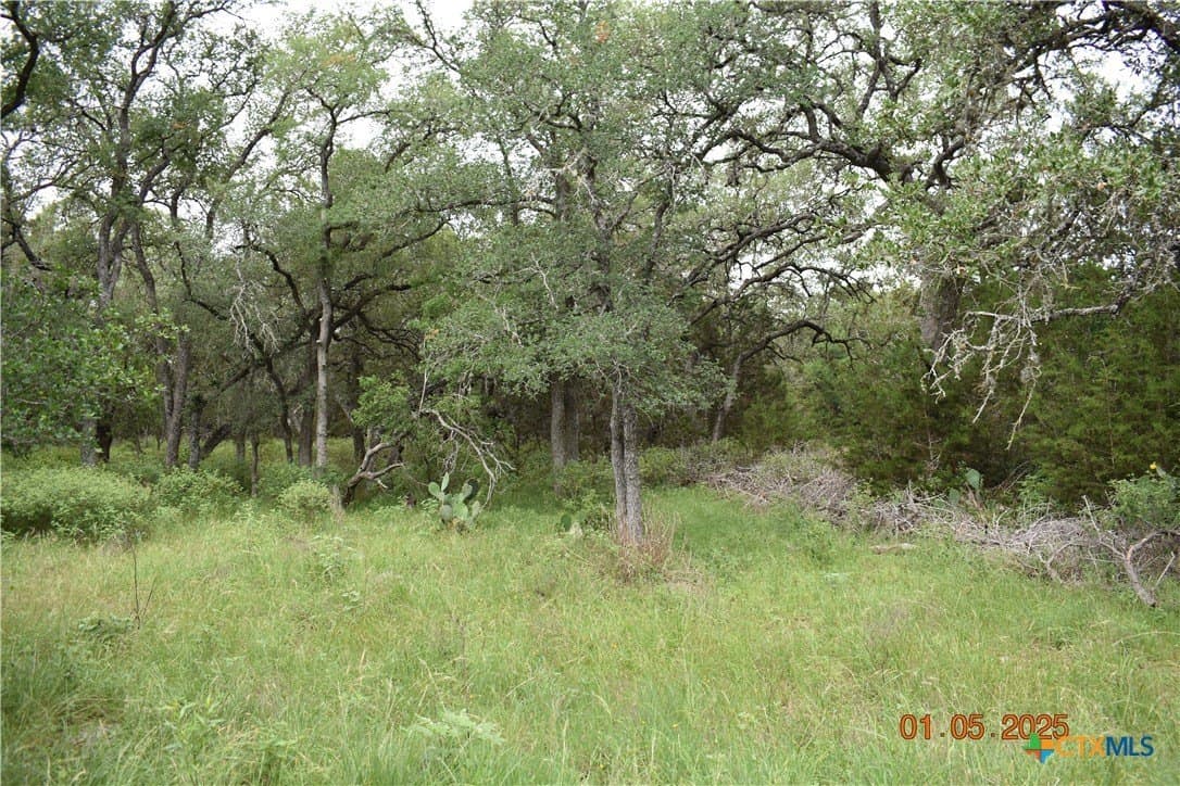 1.15 acres in Comal County - photo 14