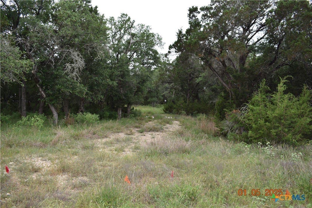 1.15 acres in Comal County - photo 15