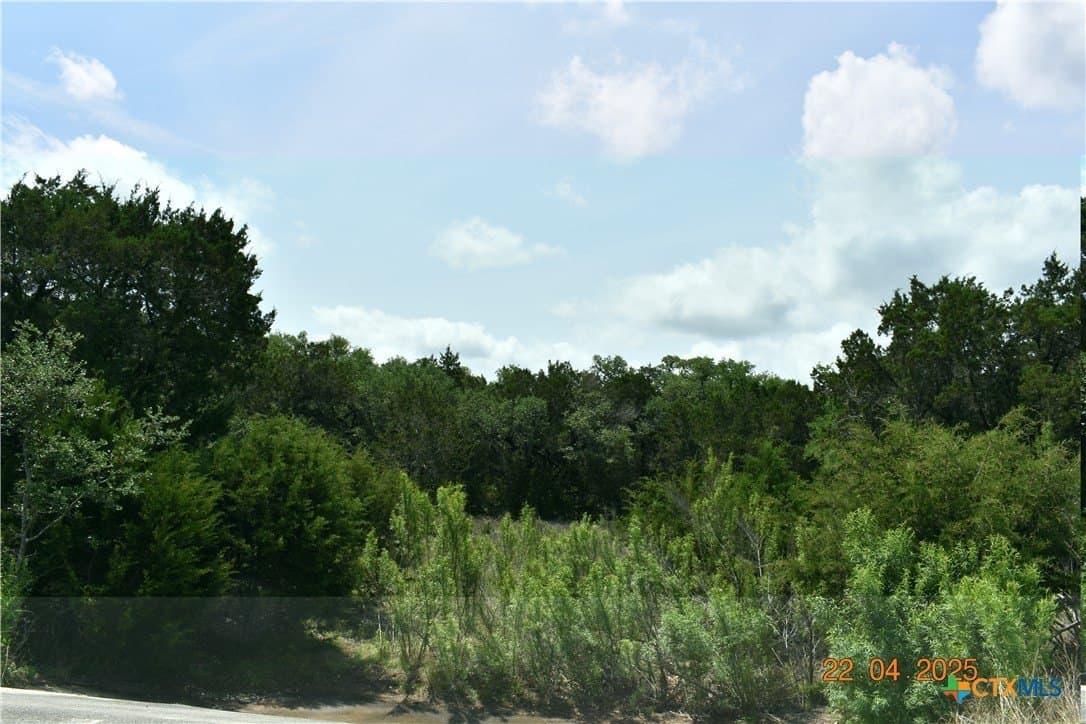 1.15 acres in Comal County - photo 25