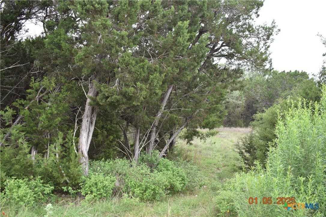 1.15 acres in Comal County - photo 21