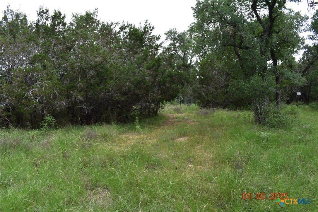 1.15 acres in Comal County - photo 5